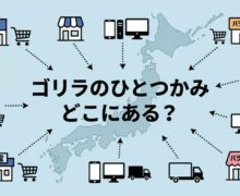 もう探さない!「ゴリラのひとつかみ」はどこにある?家電量販店から通販まで販売店を公開 gorilla-hitotsukami-where-to-buy-eyecatch