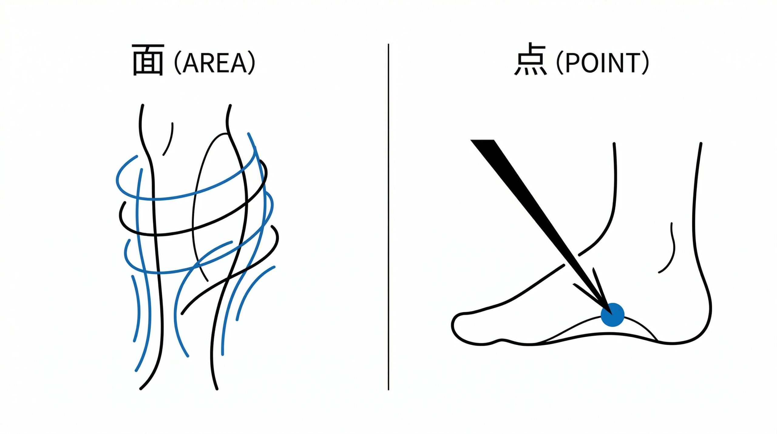 面で包む刺激と点で押す刺激の違いを表すラインアート
